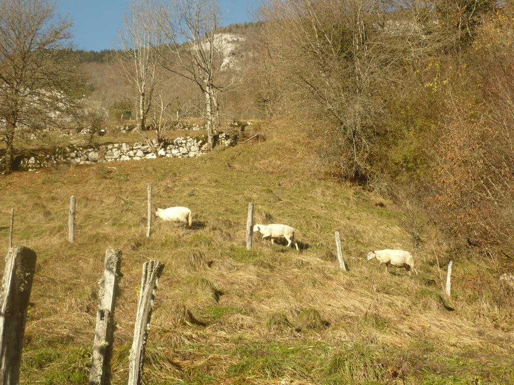 La Chouette A L'Heure Du Pinson Bed & Breakfast Saint-Pierre-d'Entremont  Dış mekan fotoğraf