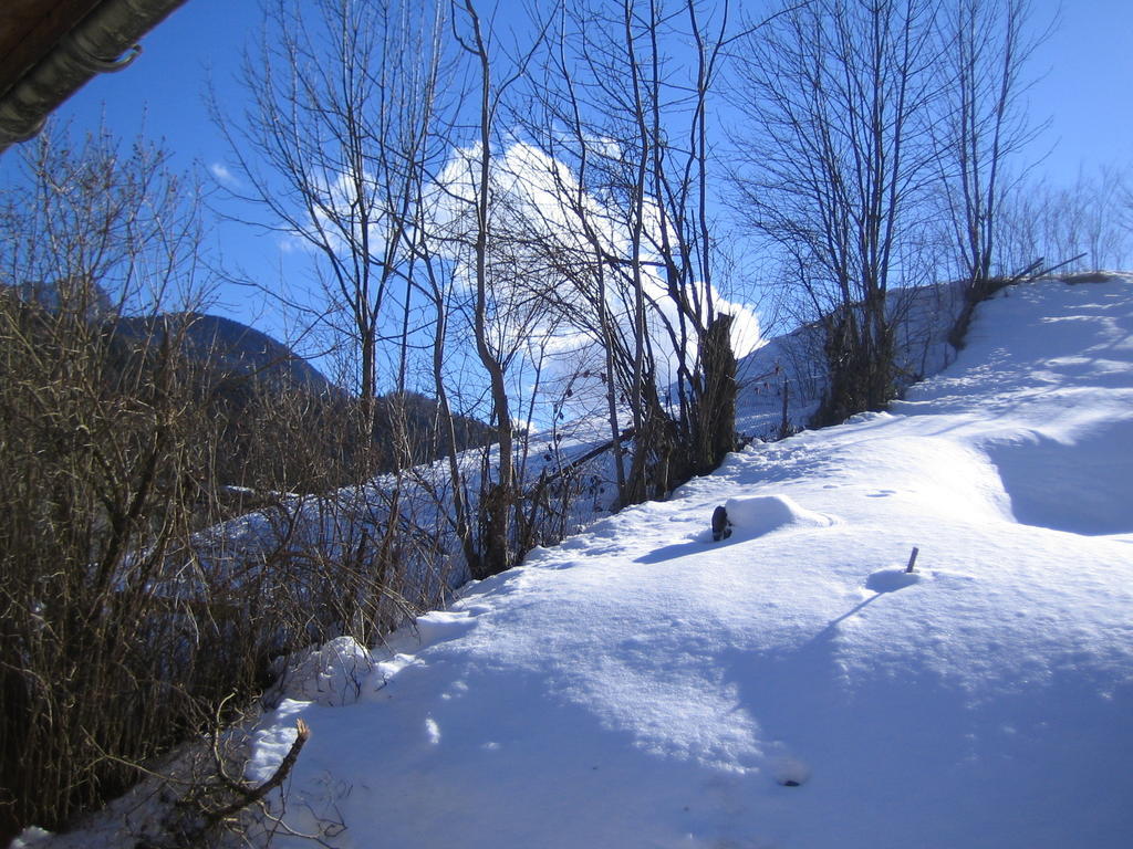 La Chouette A L'Heure Du Pinson Bed & Breakfast Saint-Pierre-d'Entremont  Dış mekan fotoğraf